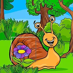 Insect Pic Puzzles